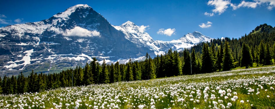 grand Panorama views from Grindelwald Panorama Day Hike